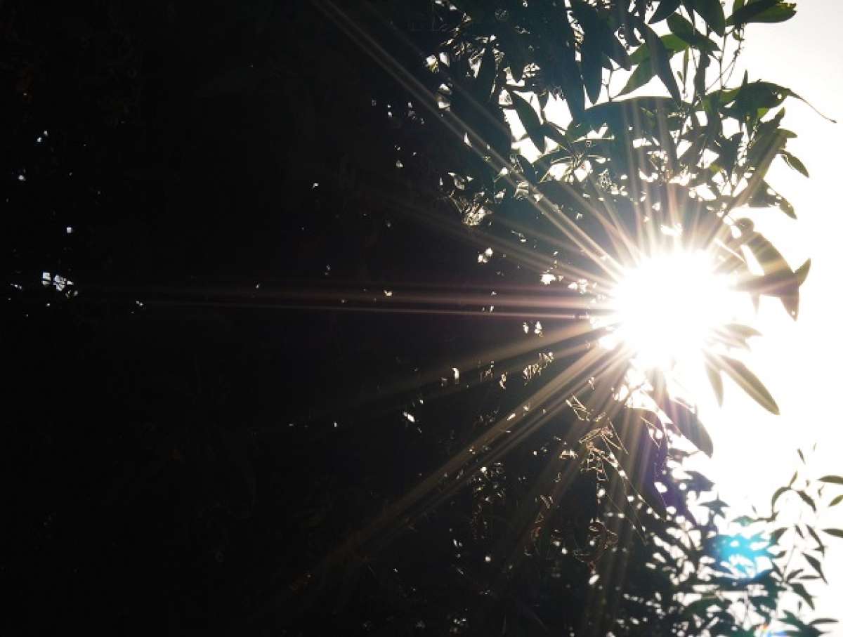 Los altos niveles de radiaci&oacute;n se registraron en esta semana. Foto: EL TEL&Eacute;GRAFO