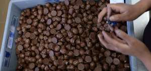 El chocolate conmemora este domingo 13 de septiembre su d&iacute;a
