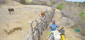 Pedro Reyes, de 64 a&ntilde;os, es uno de los pocos habitantes que quedan en esta parte baja de Jome &lsquo;viejo&rsquo;. Fue agricultor y pescador. Tiene una peque&ntilde;a finca. Fotos: Rodolfo P&aacute;rraga / El Tel&eacute;grafo