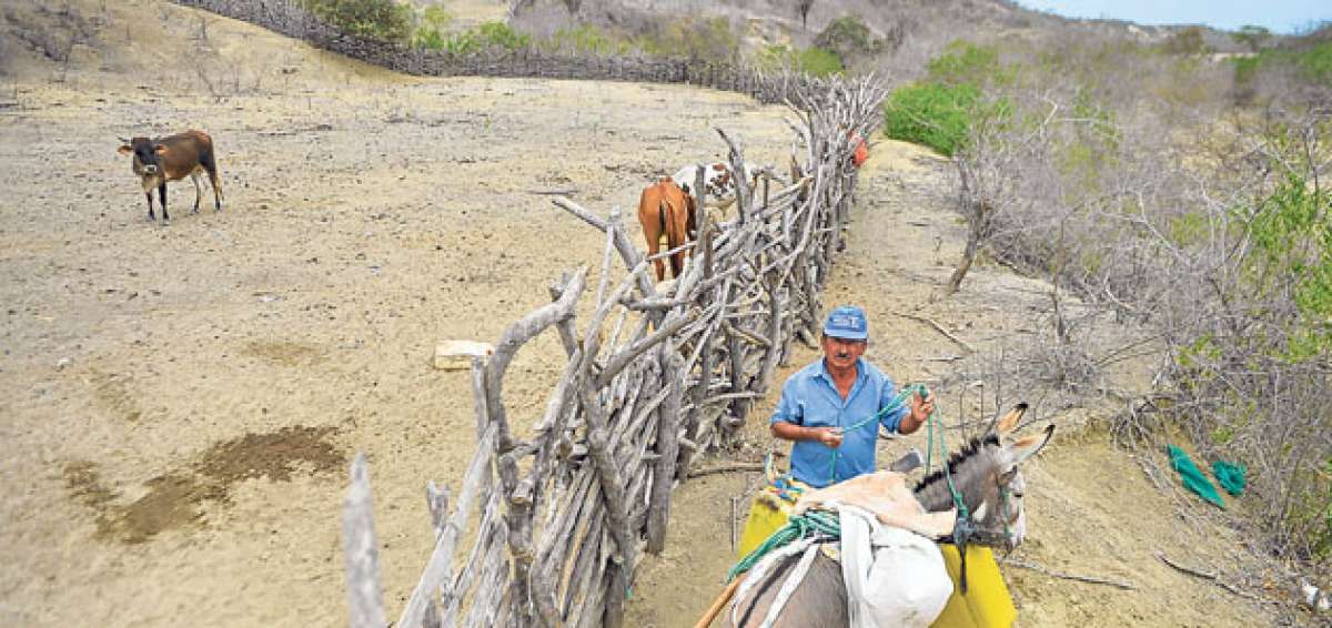 Pedro Reyes, de 64 a&ntilde;os, es uno de los pocos habitantes que quedan en esta parte baja de Jome &lsquo;viejo&rsquo;. Fue agricultor y pescador. Tiene una peque&ntilde;a finca. Fotos: Rodolfo P&aacute;rraga / El Tel&eacute;grafo