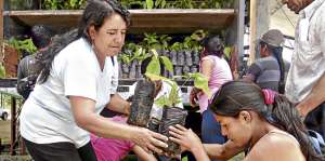 El Magap entreg&oacute; 121 mil plantas de cacao nacional fino de aroma, adaptadas a la zona de Zamora Chinchipe. Foto: Cortes&iacute;a Magap