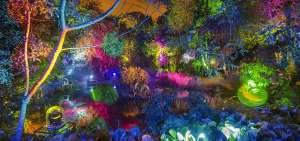 El espect&aacute;culo Bosque de Luz, en el Jard&iacute;n Bot&aacute;nico, incluye la presentaci&oacute;n del grupo Viento Violento