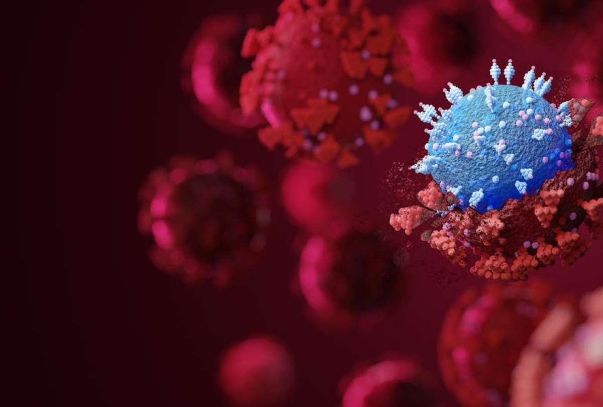 La tercera dosis de Pfizer s&iacute; neutraliza a &Oacute;micron