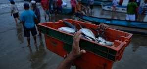 Uno de los principales objetivos de los pescadores artesanales es renovar su flota.