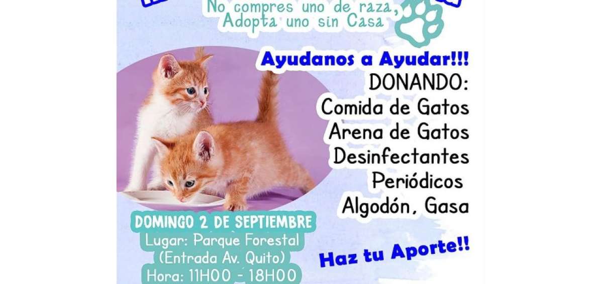 Animalistas realizan feria a favor de los gatos del Parque Forestal