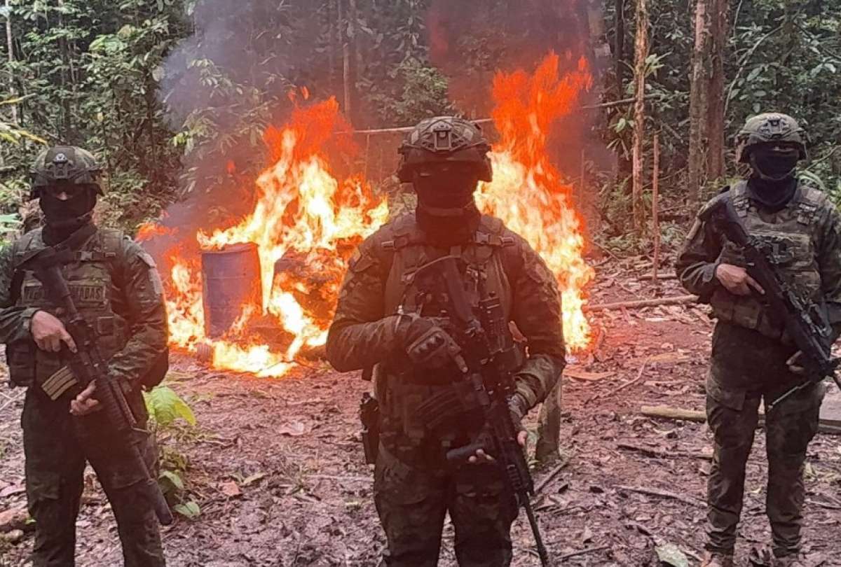 Las Fuerzas Armadas destruyeron campamentos ilegales