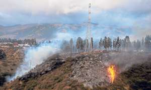 Cuarenta hect&aacute;reas fueron afectadas por el incendio del jueves en Pifo