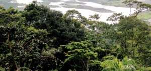 Ecuador recibe fondos para la conservaci&oacute;n de bosques en la Amazon&iacute;a
