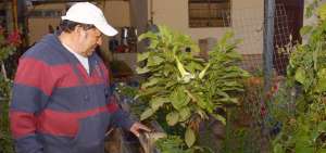 Foro de soberan&iacute;a alimentaria inicia