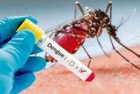 Las autoridades analizan la posibilidad de declarar emergencia sanitaria en el país por los casos de dengue. 