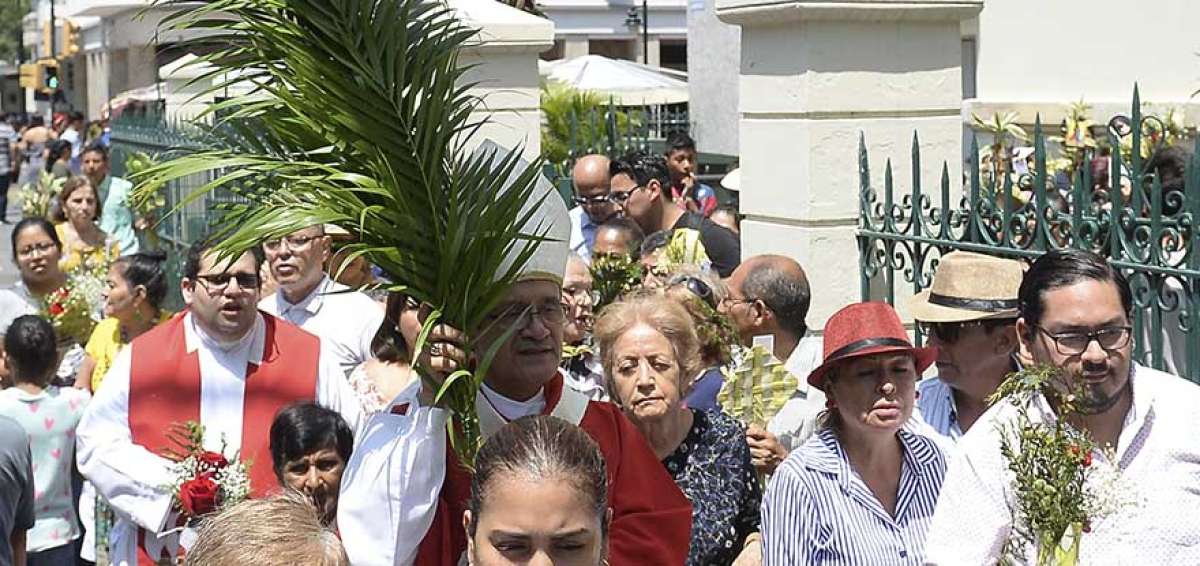 En misa de 11:00, en la Catedral Metropolitana de Guayaquil, se regalaron especies alternativas de plantas para la bendici&oacute;n del Domingo de Ramos. 