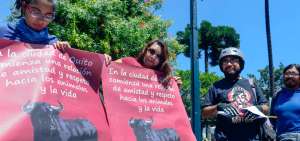 Los manifestantes se concentraron frente al Palacio Municipal para exigir que se eliminen las corridas de toros.