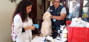 Personal municipal y estudiantes de la Universidad Agraria fueron parte de las  brigadas de vacunaci&oacute;n. Los durane&ntilde;os se mostraron satisfechos con la acci&oacute;n.