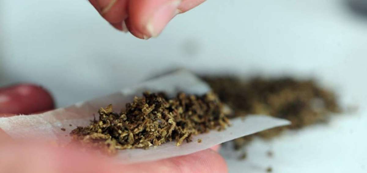 Consumo de marihuana afecta la memoria verbal, alerta investigaci&oacute;n&nbsp;