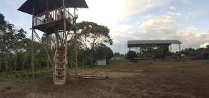 En la parroquia Sevilla Don Bosco, los estudiantes se turnaban hasta ahora para subir a esta casa en el &aacute;rbol, ya que es el &uacute;nico lugar con se&ntilde;al de internet en esa zona selv&aacute;tica.