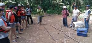 Doce animales fueron devueltos a su h&aacute;bitat en la Amazon&iacute;a