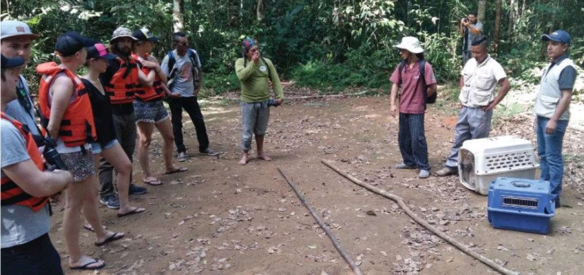 Doce animales fueron devueltos a su h&aacute;bitat en la Amazon&iacute;a
