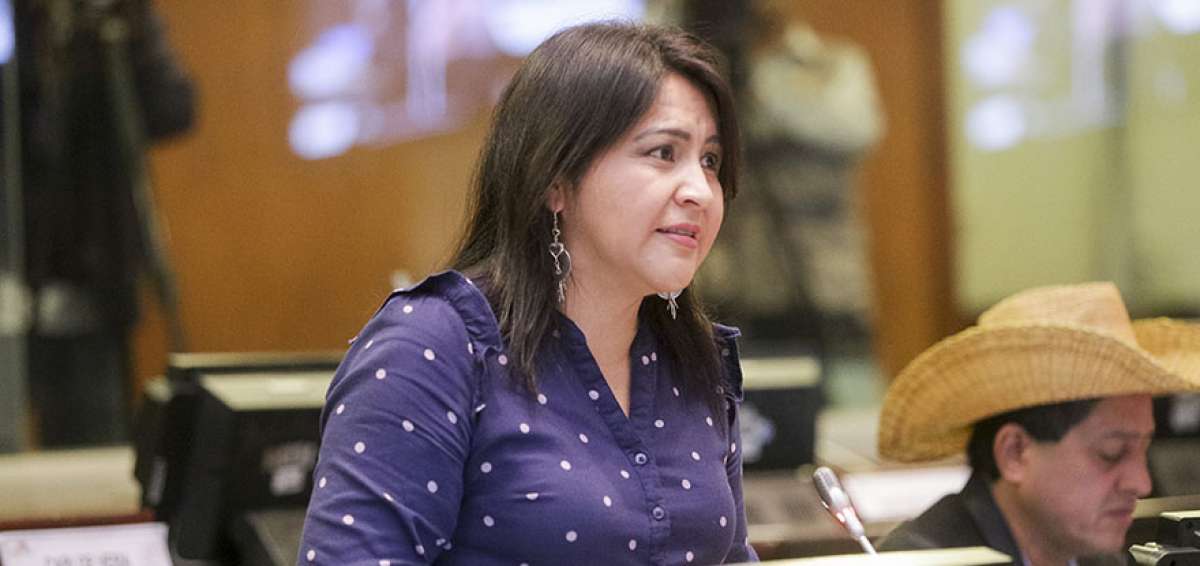 La asamble&iacute;sta, Ximena Pe&ntilde;a, seguir&aacute; como la ponente de la reforma del C&oacute;digo de la Democracia. El pedido para reemplazarla no se aprob&oacute;.