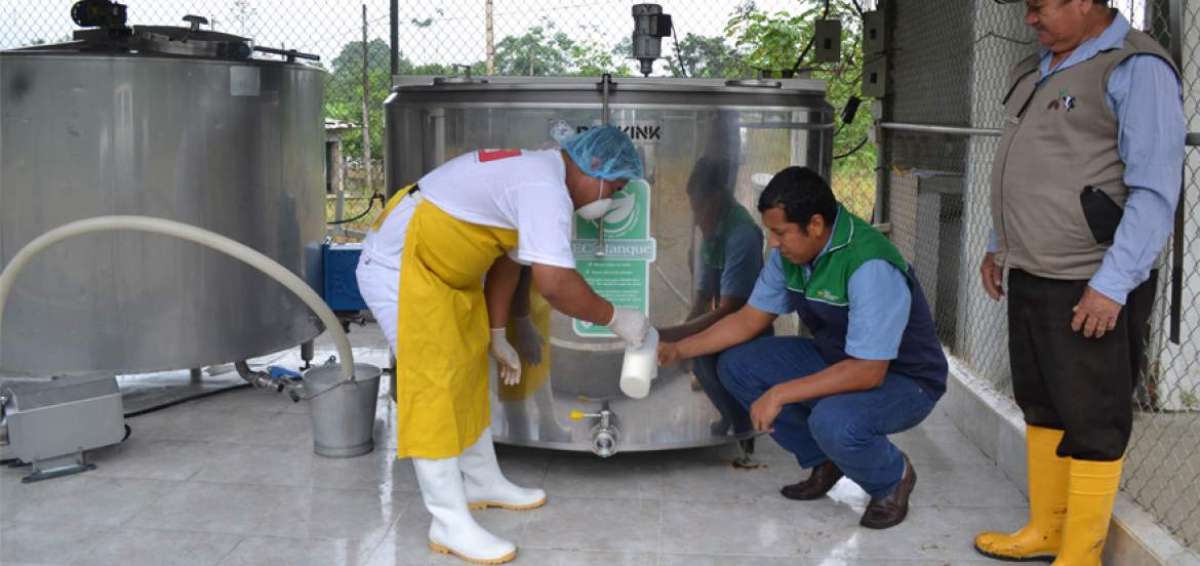 Los tanques de enfriamiento y los equipos de control de calidad han permitido que sean proveedores de leche en la industria nacional.