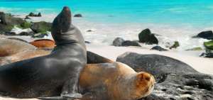 Gal&aacute;pagos apunta tambi&eacute;n al turismo cient&iacute;fico