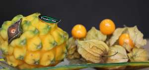 La pitahaya y la uvilla son dos frutos tropicales con un considerable valor nutritivo.