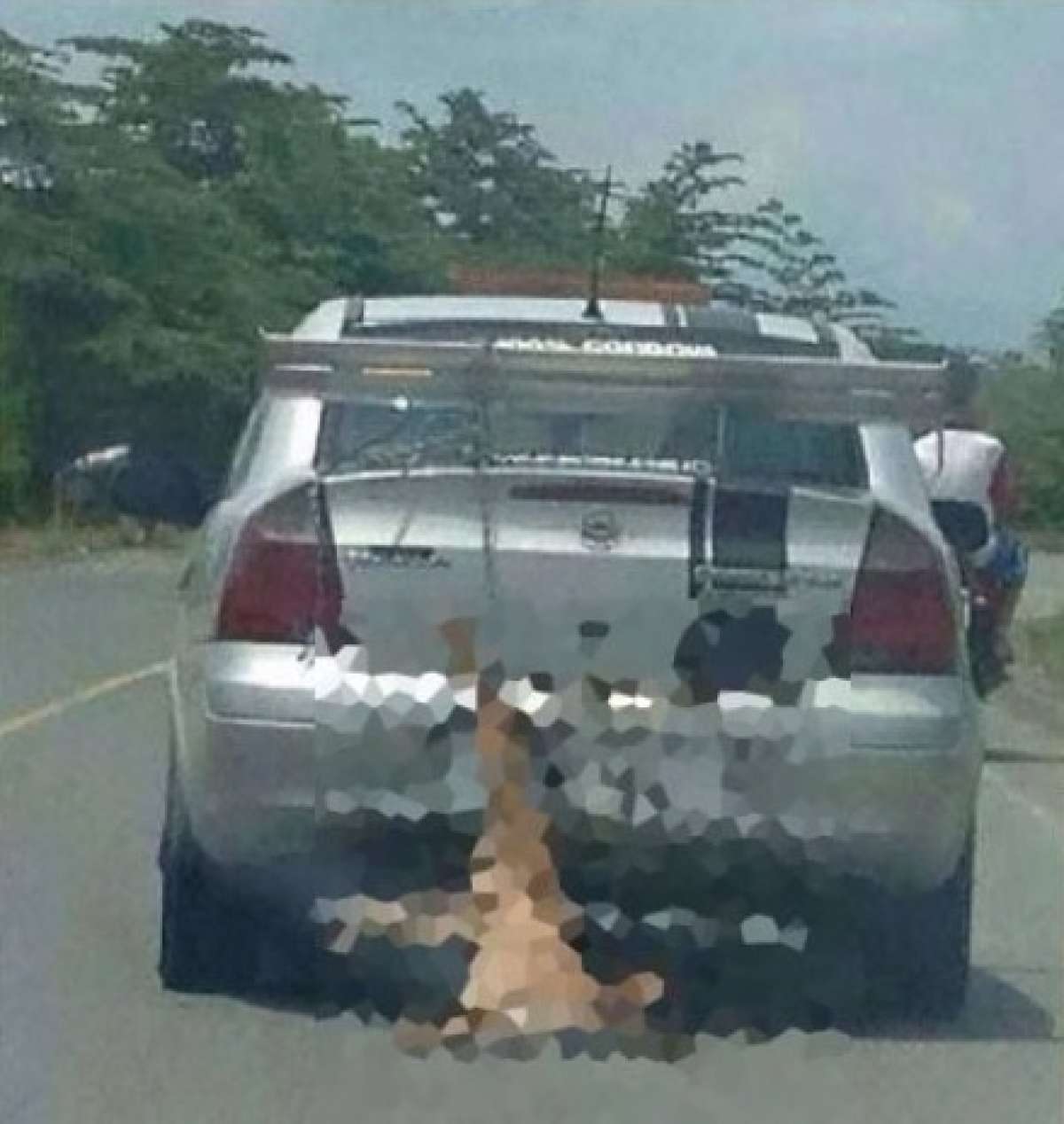 Se judicializa en Manab&iacute; caso de supuesto maltrato a un perro