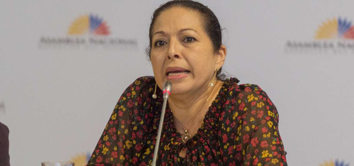La viuda del excomandante de la Fuerza A&eacute;rea Ecuatoriana destaca la importancia del informe legislativo.