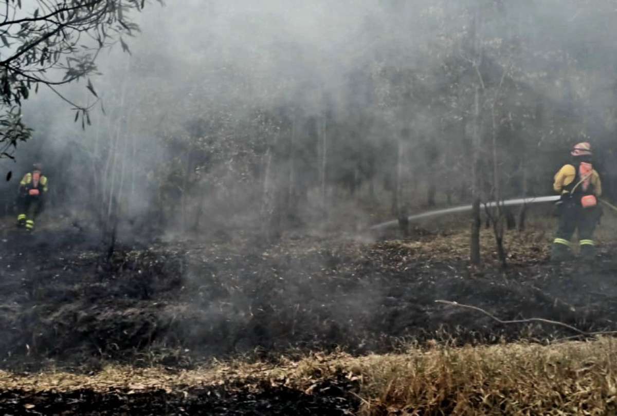 Para denunciar a los causantes de incendios forestales denuncie al 911