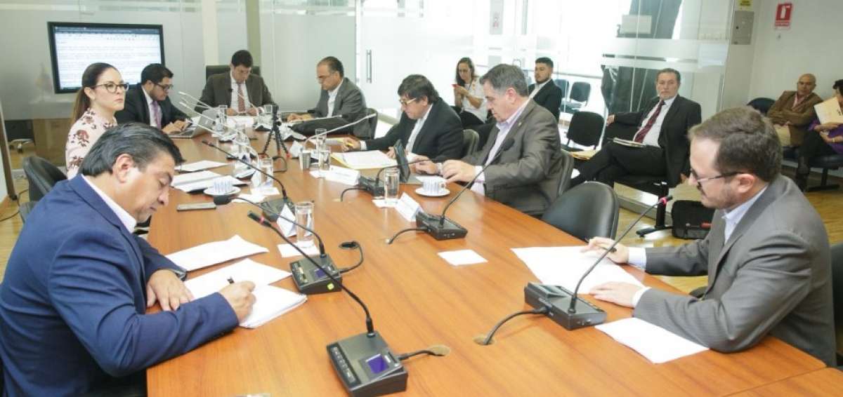 Sesi&oacute;n de la Comisi&oacute;n de Desarrollo Econ&oacute;mico. 