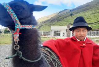 Joel Guanotuña posa junto a su llama Benjamín, en Angamarca, Cotopaxi