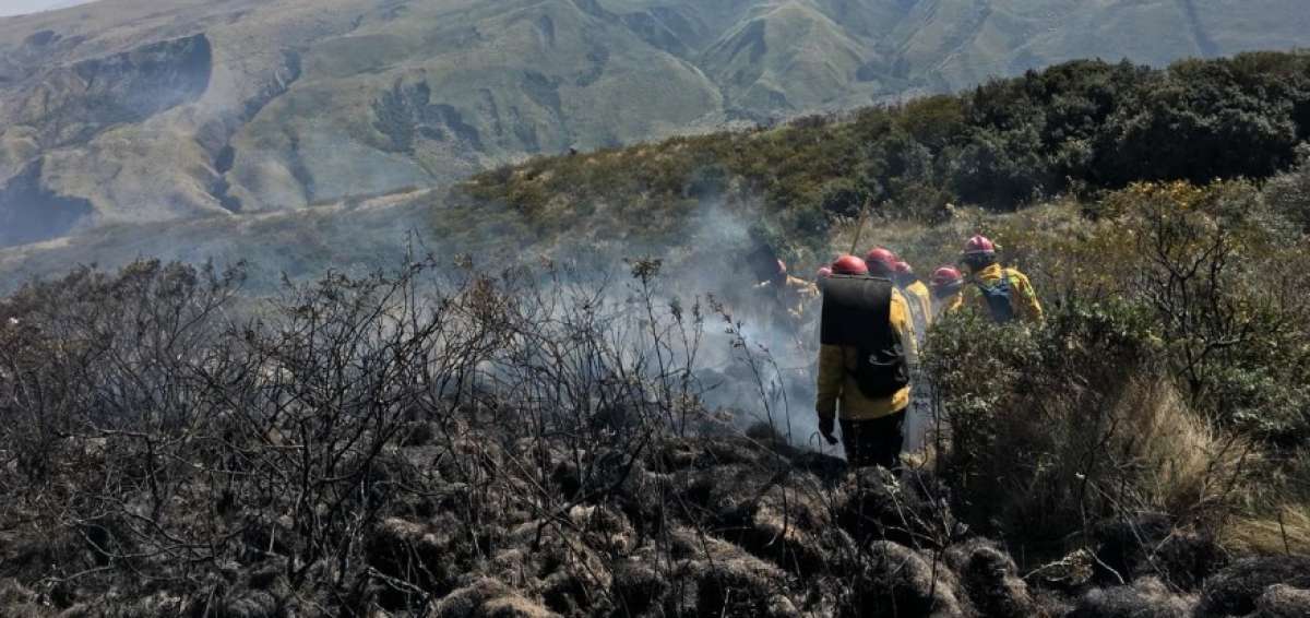 252 incendios forestales en lo que va del 2018 en Cayambe