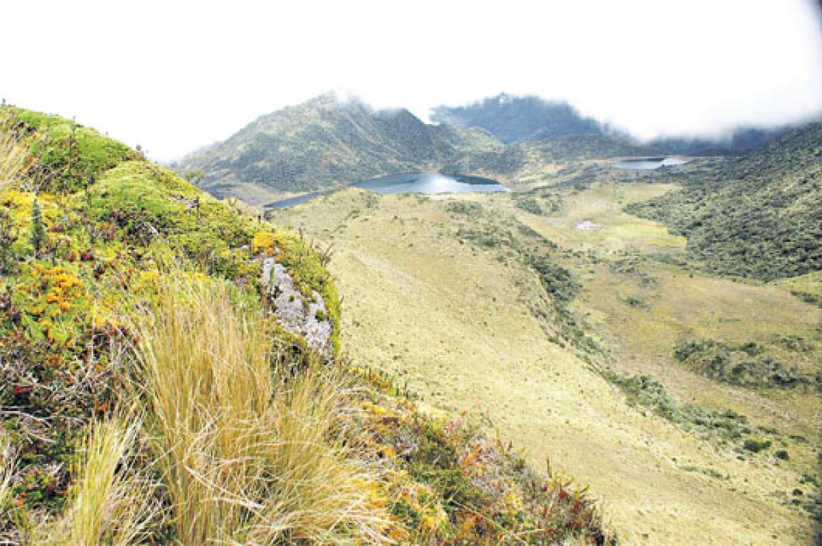 Los excursionistas  quite&ntilde;os se perdieron casi por un d&iacute;a en el parque nacional Los Llanganates ubicado en Cotopaxi. Foto: Internet