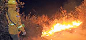 M&aacute;s de 3 mil hect&aacute;reas de pastos, pajonales y bosques se quemaron en el Distrito Metropolitano de Quito durante este a&ntilde;o, seg&uacute;n los bomberos. Foto: Archivo/ El Tel&eacute;grafo