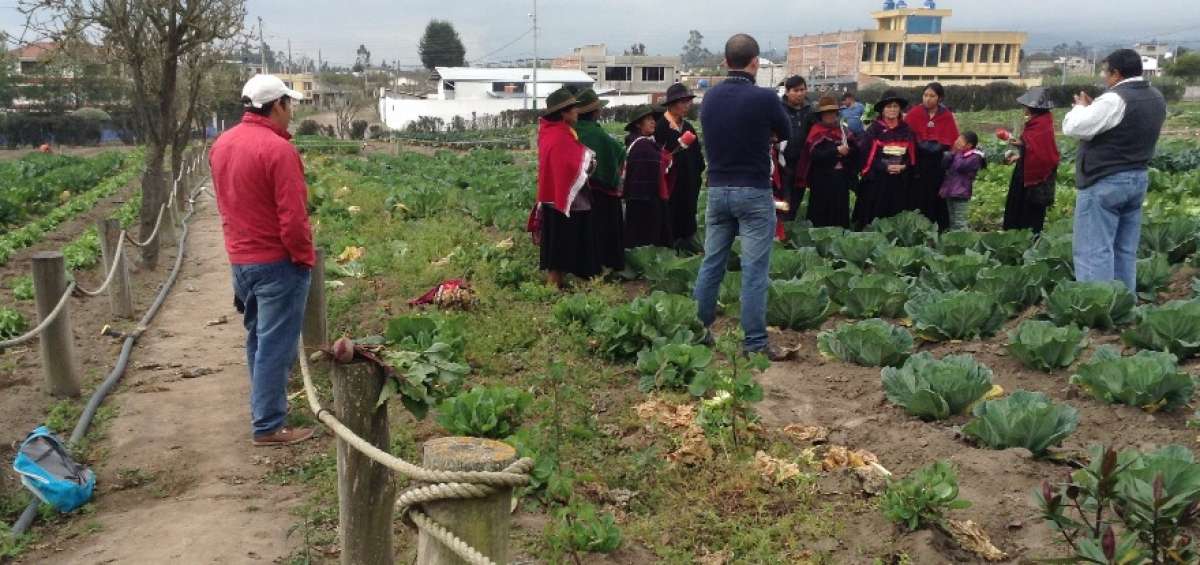 En Tungurahua hay proyectos para impulsar la agricultura limpia como el del GPT en la granja de P&iacute;llaro.
