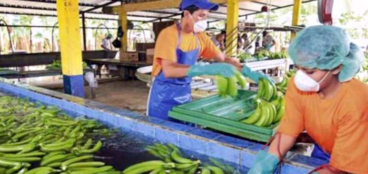 El sector no petrolero creci&oacute; en el tercer trimestre de 2018