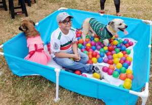 En los dos festivales animalistas se realizar&aacute;n actividades para la familia y las mascotas.