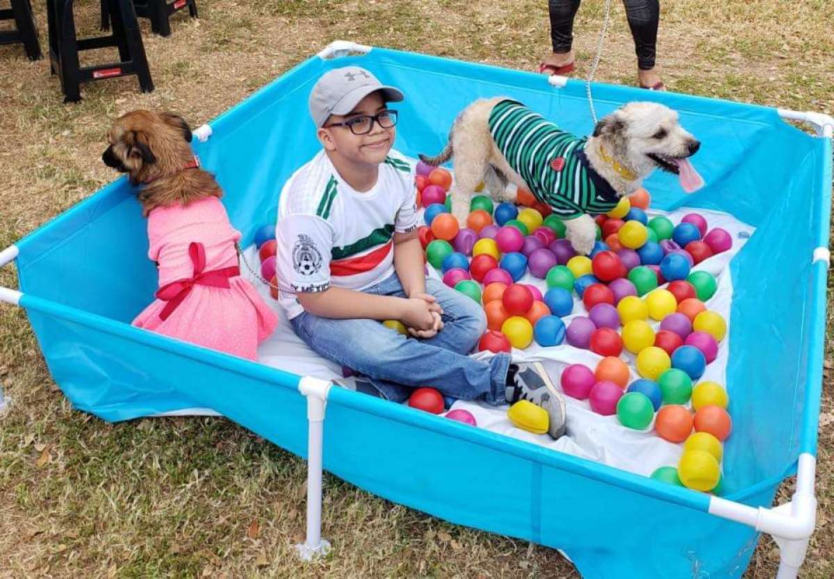 En los dos festivales animalistas se realizar&aacute;n actividades para la familia y las mascotas.