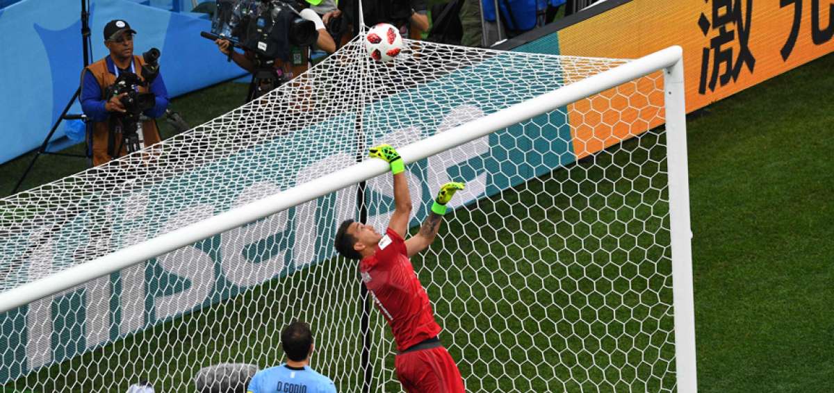 Fernando Muslera mostr&oacute; un gran potencial en el torneo, pese a su grosero error ante Francia. God&iacute;n y Gim&eacute;nez brillaron en la zaga.