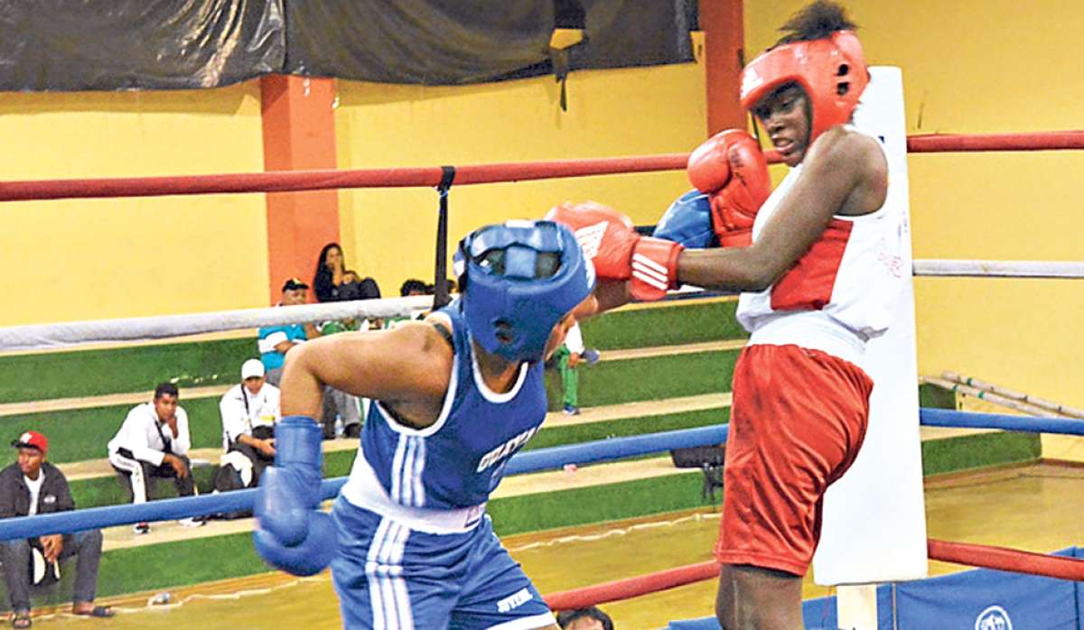 El fin de semana se efectu&oacute; el Nacional de Boxeo Juvenil en la ciudad de Ibarra, donde la delegaci&oacute;n due&ntilde;a de casa se proclam&oacute; campeona de entre 18 provincias. Foto: Cortes&iacute;a de la FEB