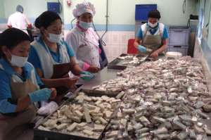 Trabajadoras de la empresa Brayhino realizan el empacado de los turrones y dem&aacute;s dulces que all&iacute; se fabrican. Foto: Miguel Castillo / El Tel&eacute;grafo