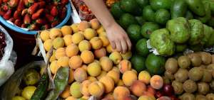 Lo importante para mantener una alimentaci&oacute;n saludable es consumir productos naturales que favorecen el desempe&ntilde;o normal del organismo. 