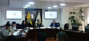 Sesi&oacute;n del Pleno del CNE.