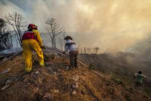 En el incendio del cerro Ilal&oacute; se consumieron 110 hect&aacute;reas. Foto: John Guevara/ EL TEL&Eacute;GRAFO