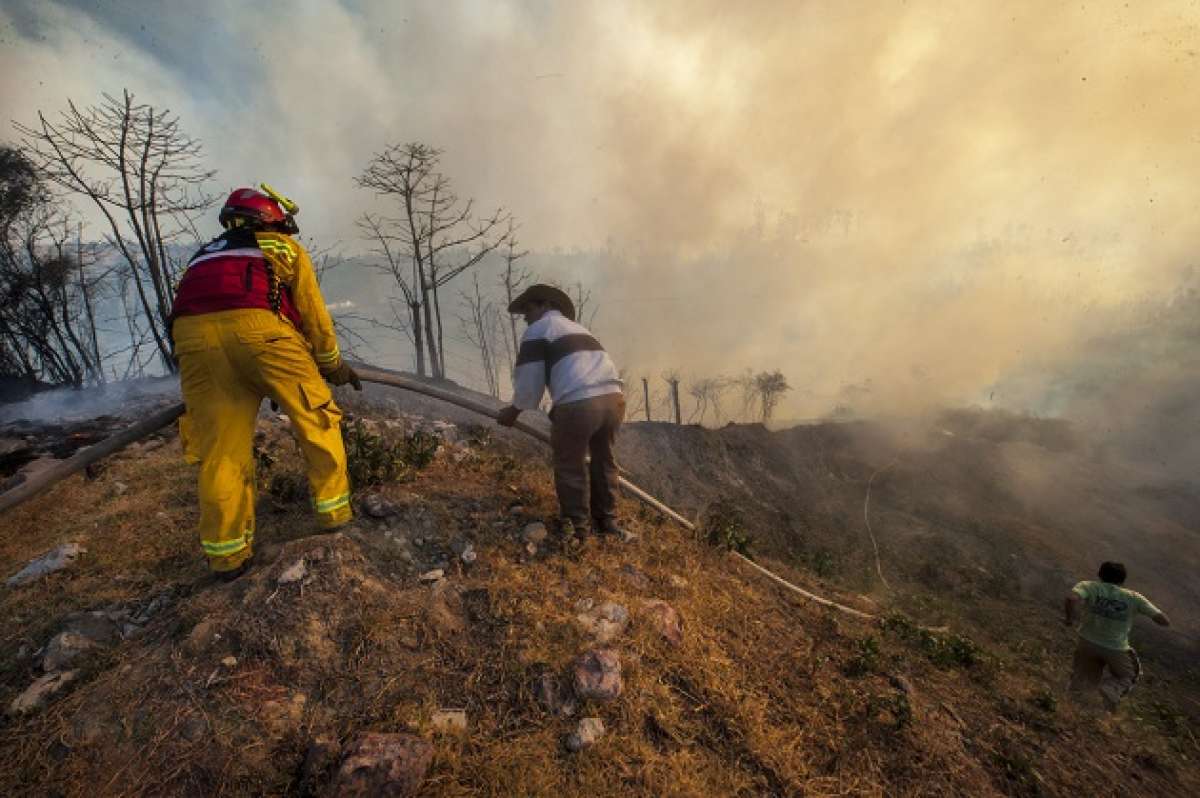 En el incendio del cerro Ilal&oacute; se consumieron 110 hect&aacute;reas. Foto: John Guevara/ EL TEL&Eacute;GRAFO