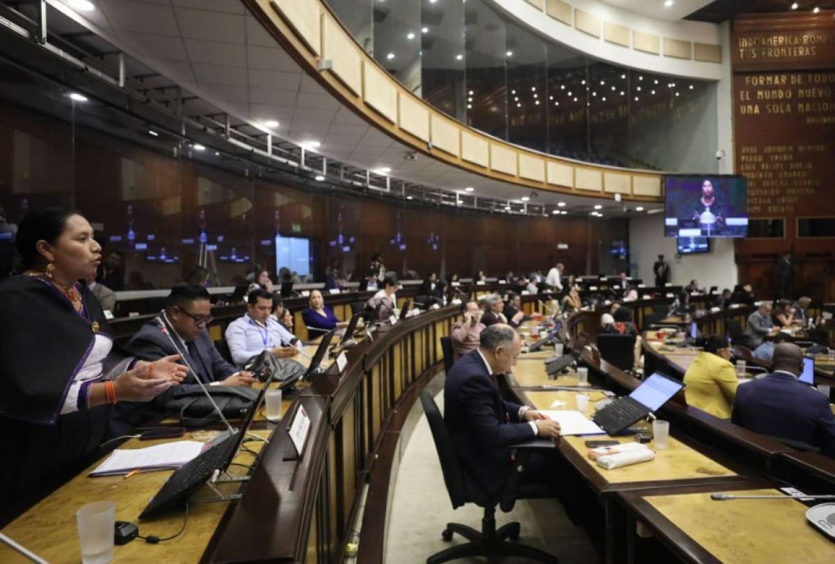Mientras el oficialismo defiende la medida como un ejercicio de control, la oposici&oacute;n cuestiona la competencia de la Asamblea para fiscalizar a los gobiernos aut&oacute;nomos descentralizados.