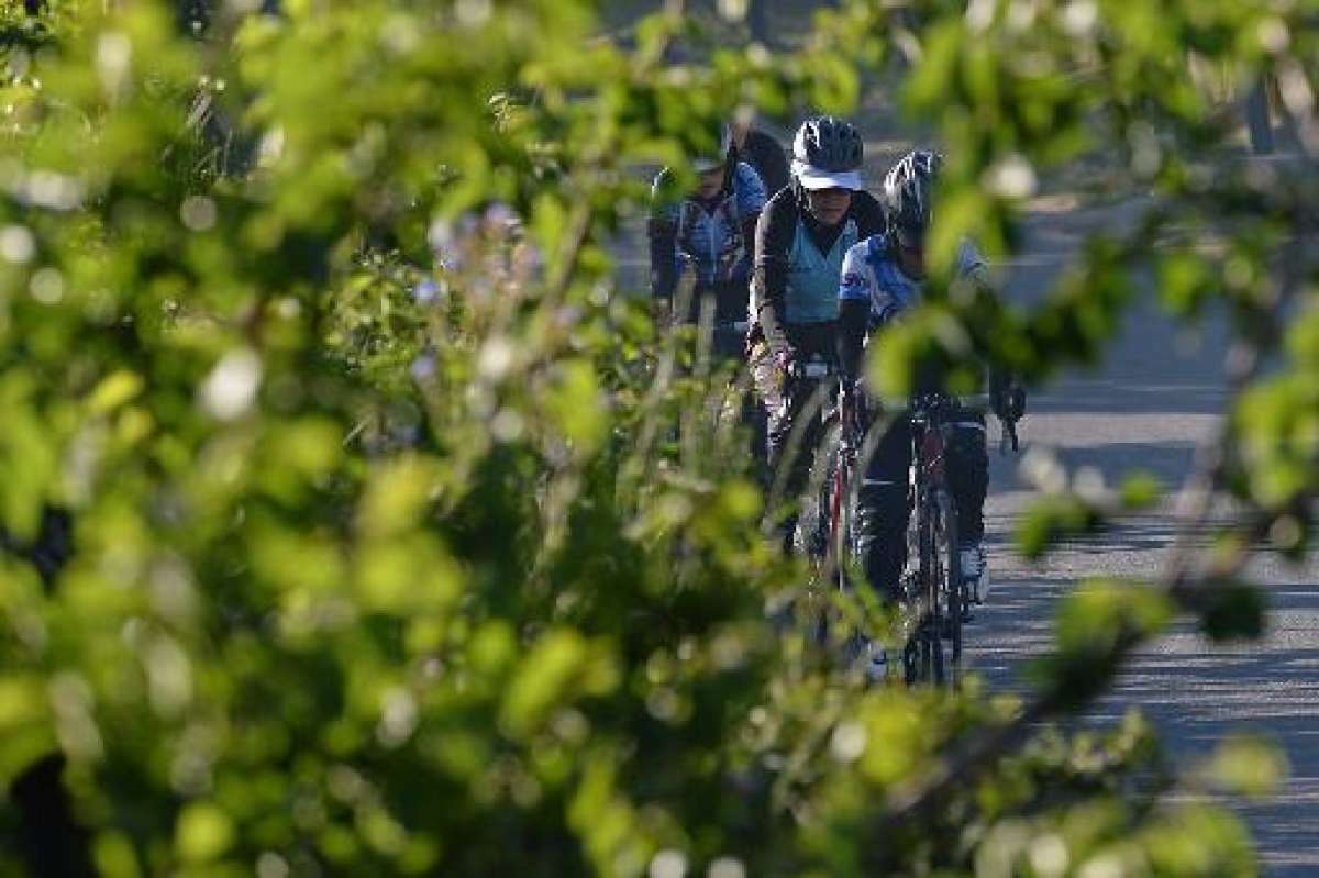 El equipo nacional afgano de ciclismo femenino pedalea en el distrito de Paghman, en la provincia de Kabul. Foto: AFP
