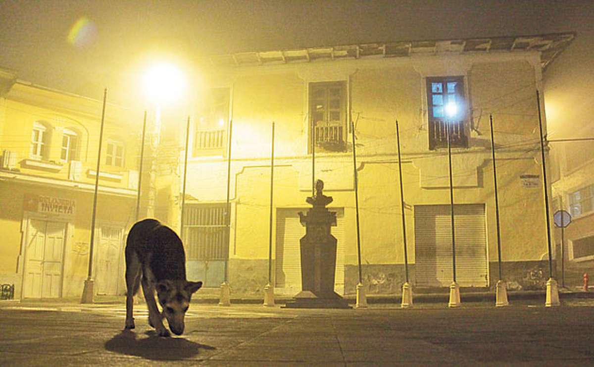 Comprar un perro o un gato implica responsabilidades como la alimentaci&oacute;n diaria, atenci&oacute;n veterinaria regular, cuidado afectivo, higiene continua, etc. Foto: Roberto Ch&aacute;vez / El Tel&eacute;grafo