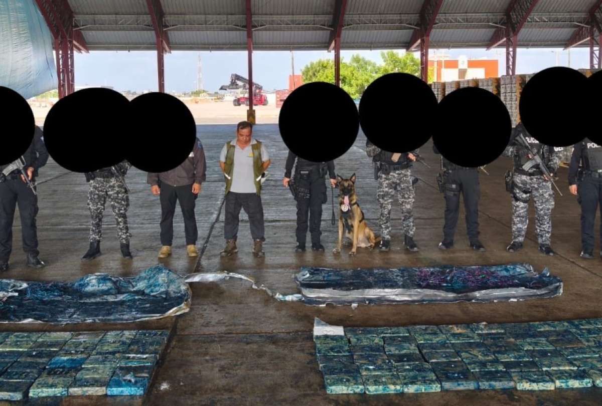 La Polic&iacute;a Nacional incaut&oacute; 119 kilos de droga.