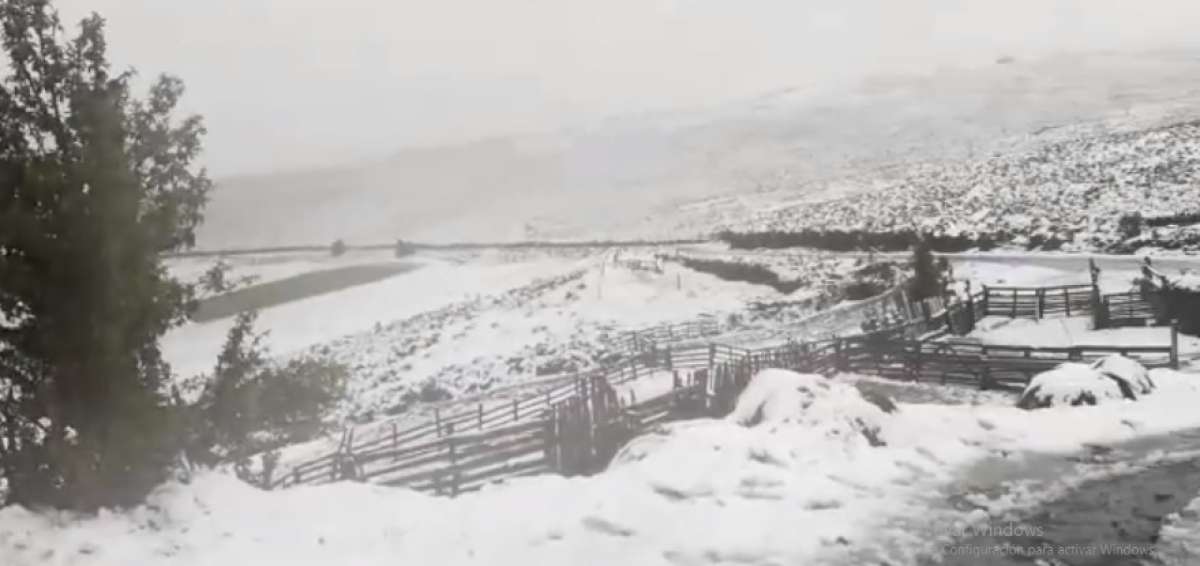 Guardaparques vigilan ca&iacute;da de nieve en el Parque Nacional Llanganates