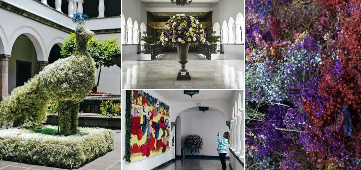 Aroma y color de flores ecuatorianas vistieron Carondelet